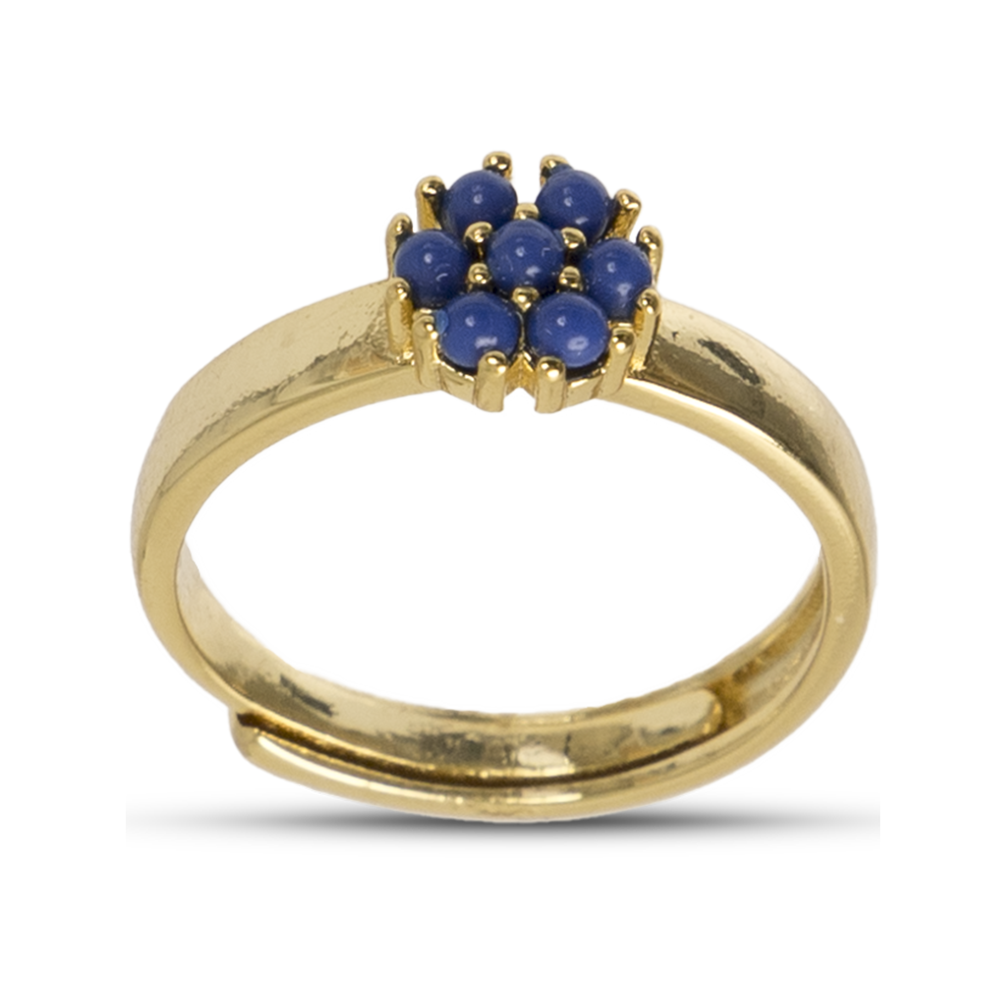 The Amazon single Ring Blue